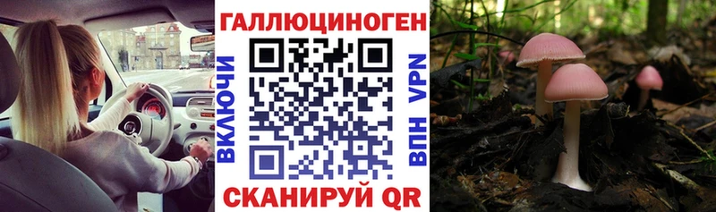 Псилоцибиновые грибы прущие грибы  Кяхта 